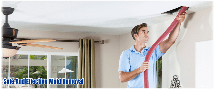 Air Duct Mold Removal in Hebron IL