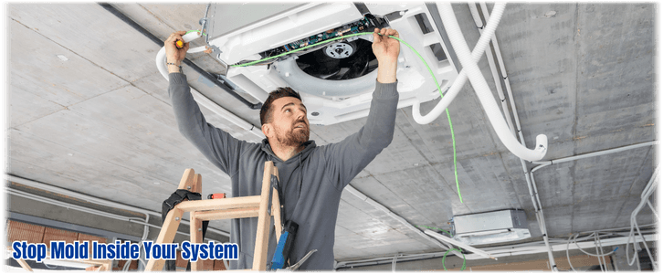 HVAC Mold Removal Hebron IL